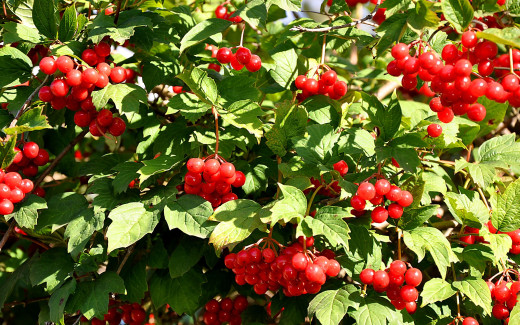 541788 (a): :2560x1600